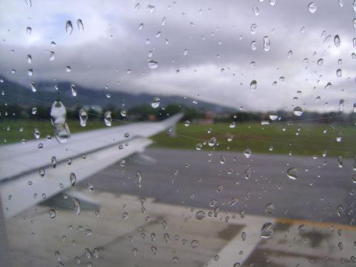 DSC03239_resize.JPG